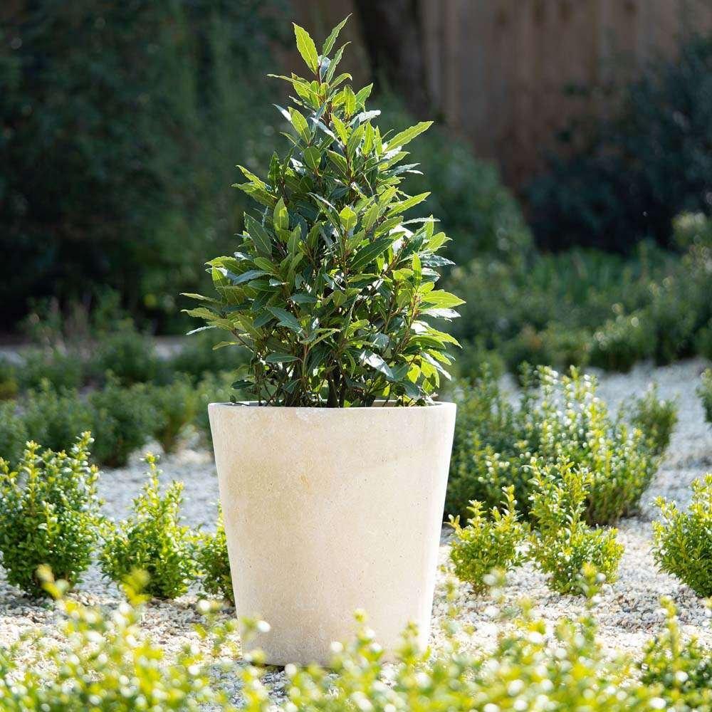 Cream Handmade Fiberstone Planter Round Cone Garden Plant Pot 60cm